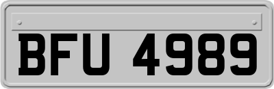 BFU4989