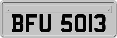BFU5013