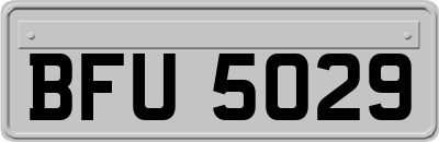 BFU5029