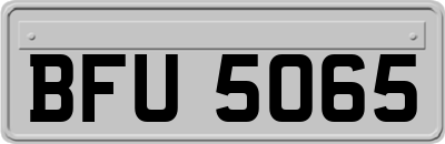 BFU5065