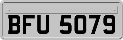 BFU5079