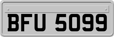 BFU5099