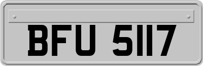 BFU5117
