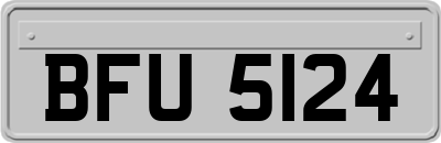 BFU5124