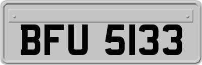 BFU5133