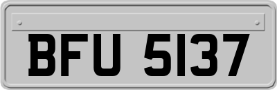 BFU5137