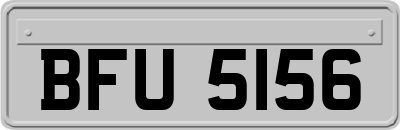 BFU5156