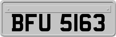 BFU5163