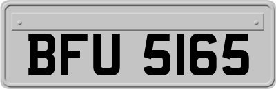 BFU5165