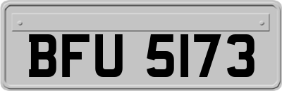 BFU5173