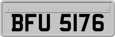 BFU5176