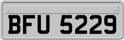 BFU5229