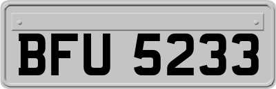 BFU5233