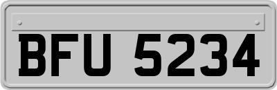BFU5234