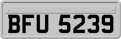 BFU5239