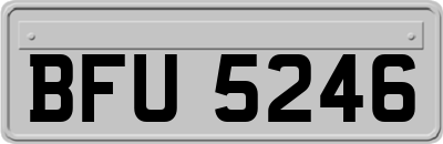 BFU5246