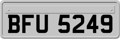 BFU5249