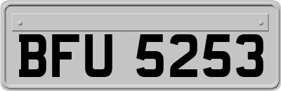 BFU5253
