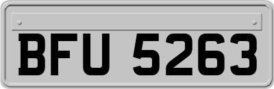 BFU5263