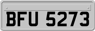 BFU5273