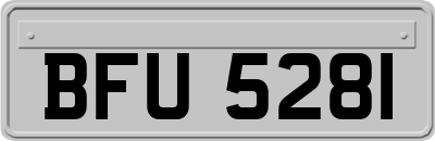 BFU5281