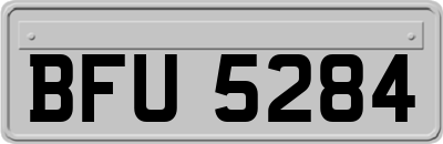 BFU5284