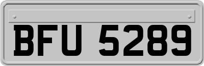 BFU5289