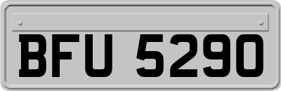 BFU5290