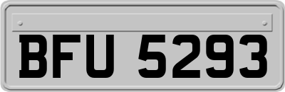 BFU5293