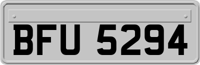 BFU5294