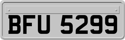BFU5299