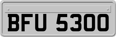 BFU5300