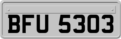 BFU5303