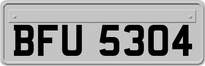 BFU5304