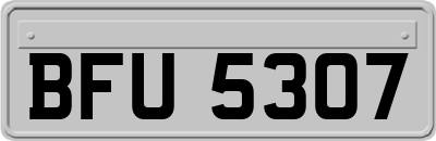 BFU5307