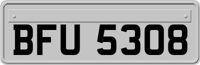 BFU5308