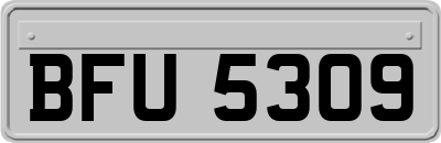 BFU5309