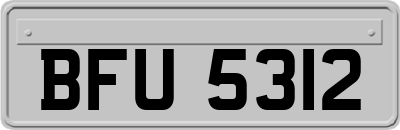 BFU5312