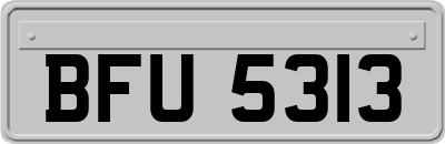 BFU5313