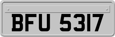 BFU5317