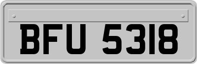 BFU5318