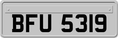 BFU5319