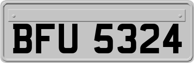 BFU5324