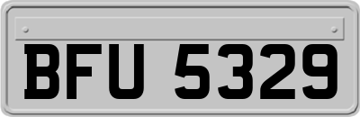 BFU5329