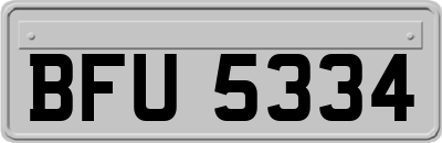 BFU5334