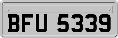 BFU5339