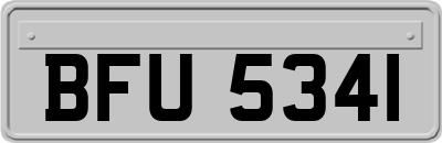 BFU5341