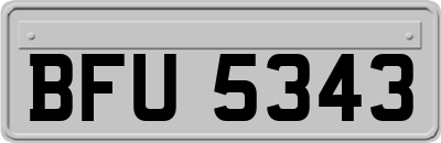 BFU5343