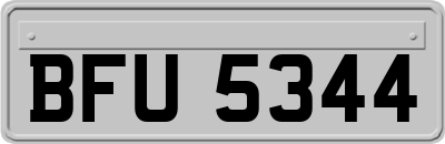 BFU5344