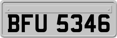 BFU5346